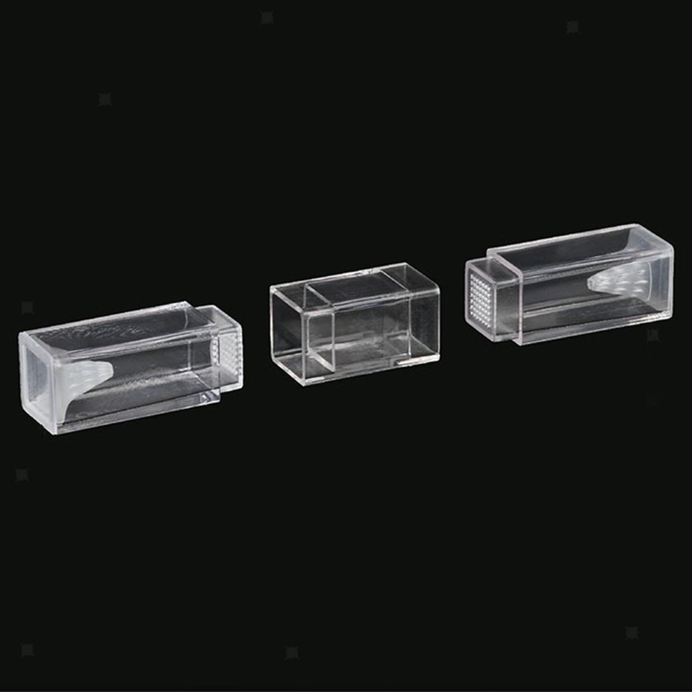 Leeches Catcher Planaria Trap Flatworm Trap