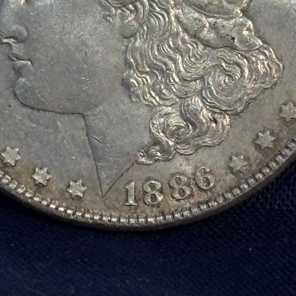 1886 Morgan Dollar