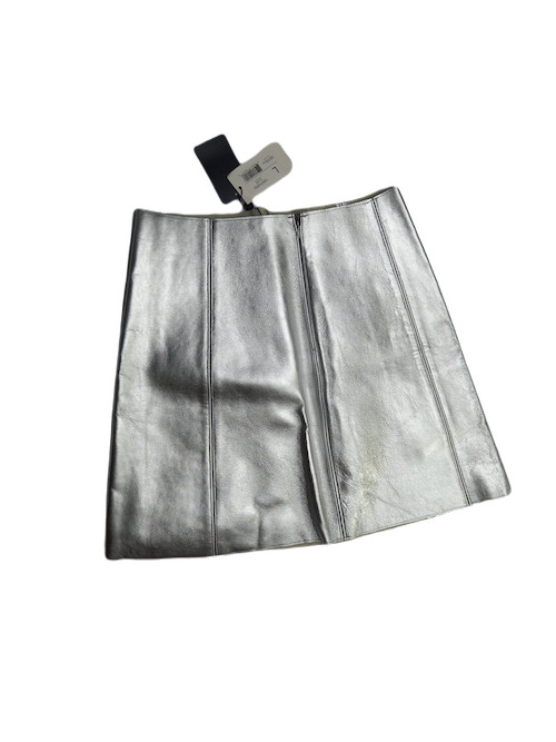 Sliver Mini Skirt