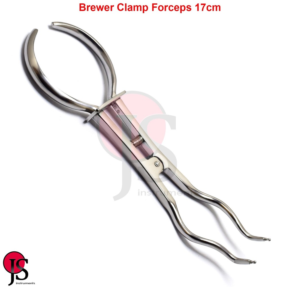Basic Rubber Dam Kit Endodontic Instruments Punch Pliers Brewer Forceps Frame