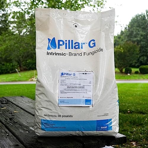 Pillar G - 30 Pound