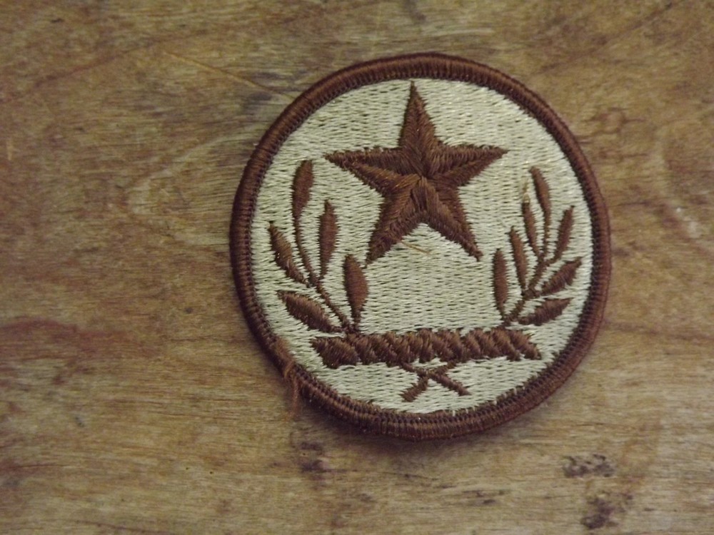 Texas Army National Guard Patch, Desert Camo - INV# C451