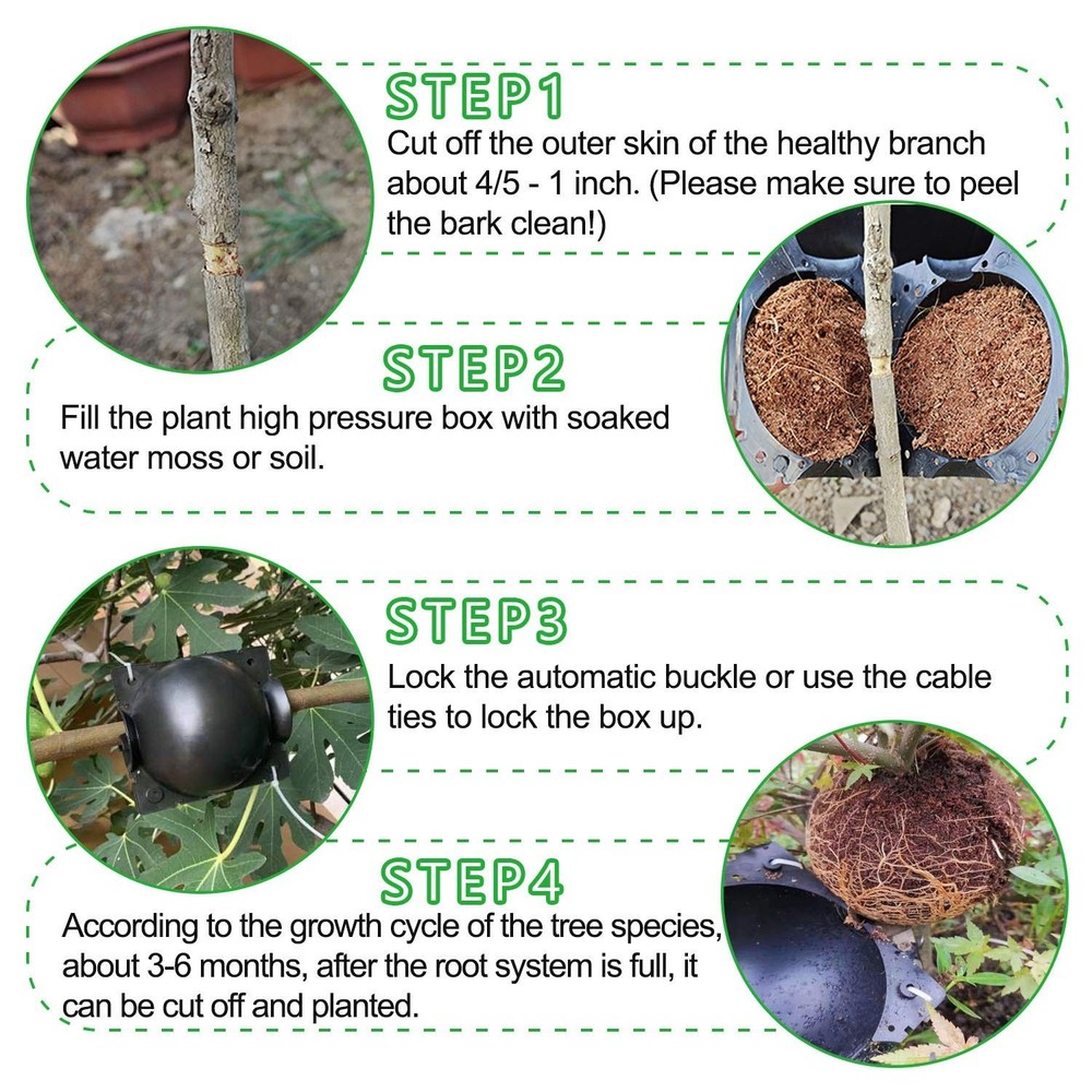 Tree Rooting Ball 10 Pack, Grafting Propagation Tool, Black