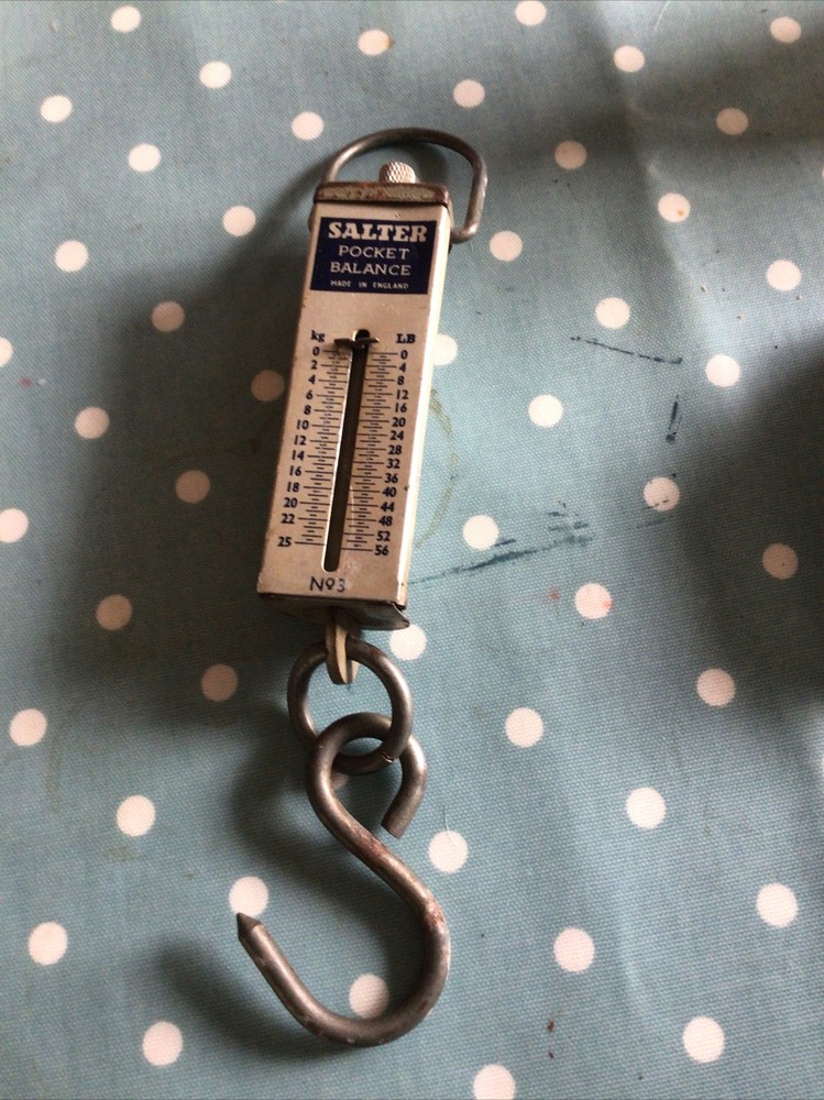 Salter Pocket Balance