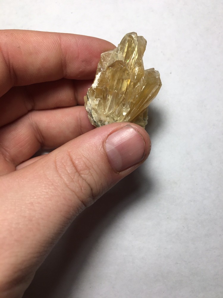 Fossil Clam Shell Calcite Crystals Fluorescent Cluster Rainbow From Rucks Pit FL