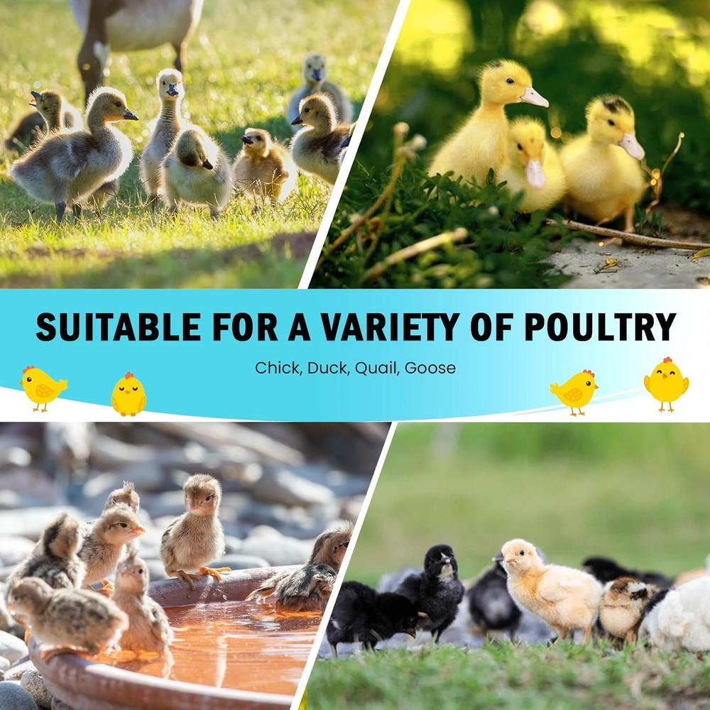 Chicken Brooder Box for Chick Starter Kit Upgrade Three-Sided Mesh Window Broode