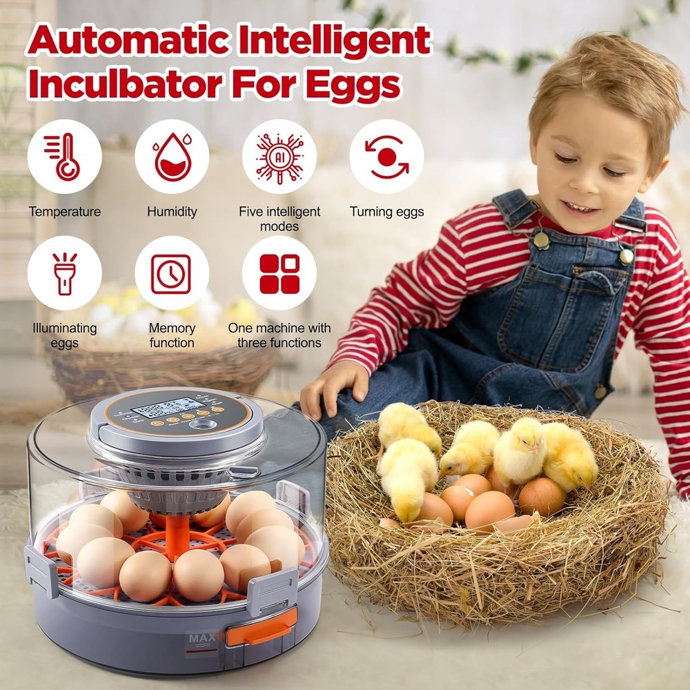 Automatic Chicken Egg Incubator 12-40 Eggs Digital Control Hatching Poultry