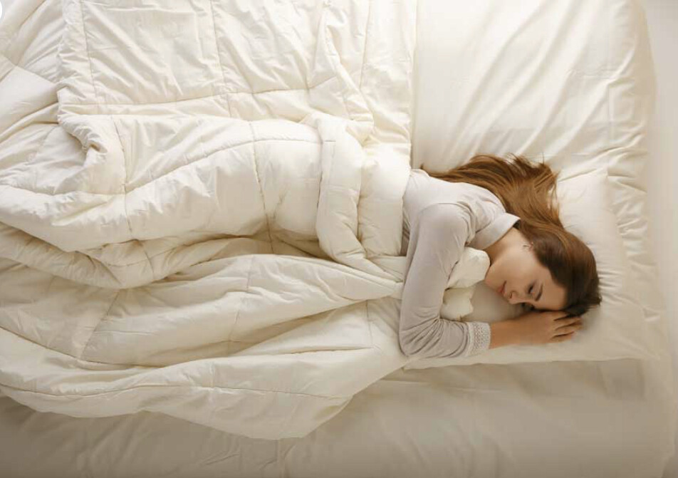 Certified Organic Cotton Merino Wool Comforter Duvet Four Seasons Sleep Beyond