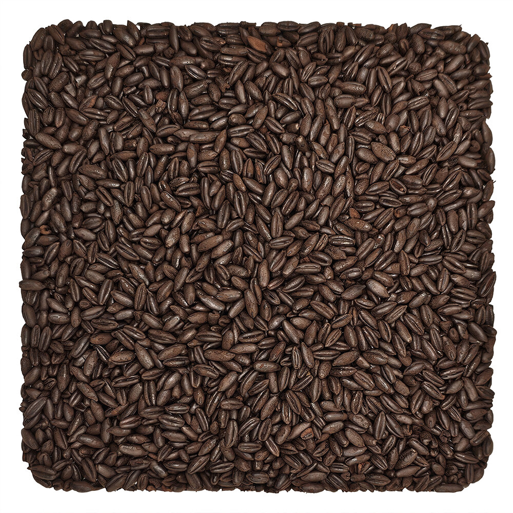 Home Brew Ohio Chocolate Wheat Grain 1lb