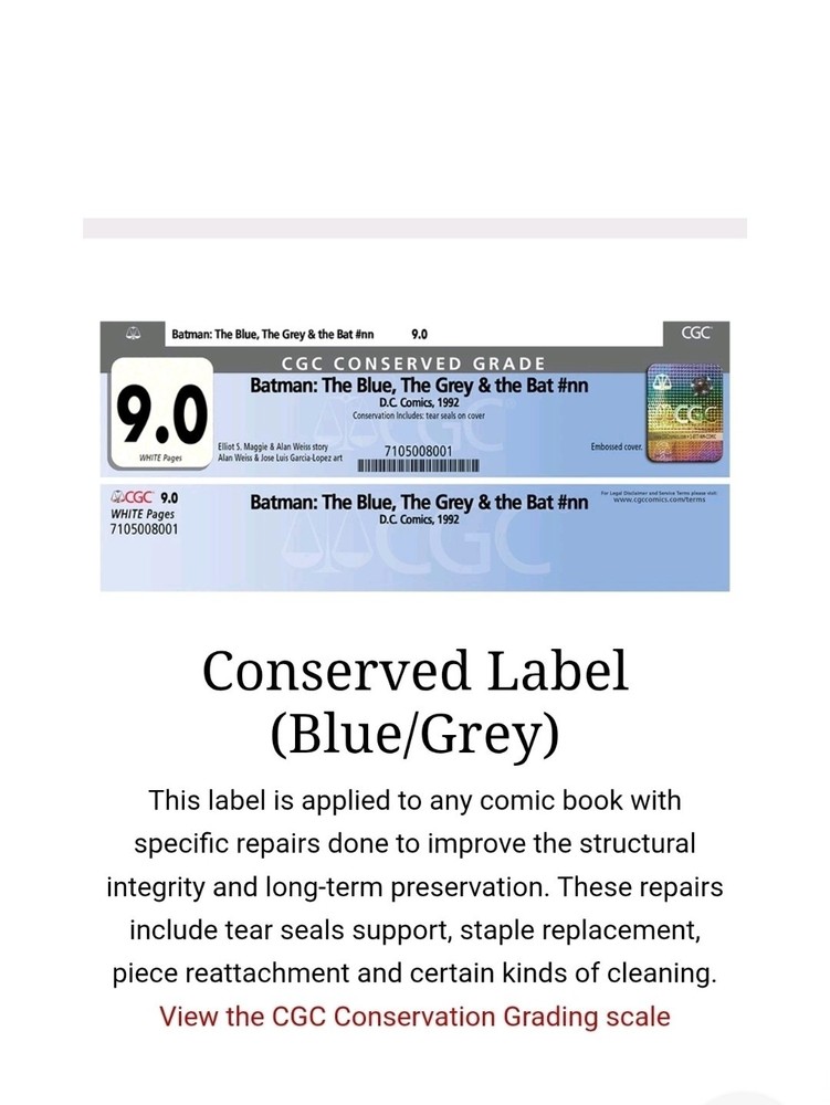 Formation Aid, 1 oz Papermaking Techniques, Comic Book Conservation Paper Pulp