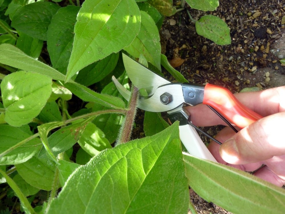 Okatsune 103 Bypass Pruners General Purpose Medium (One One Pack, シルバー|レッド