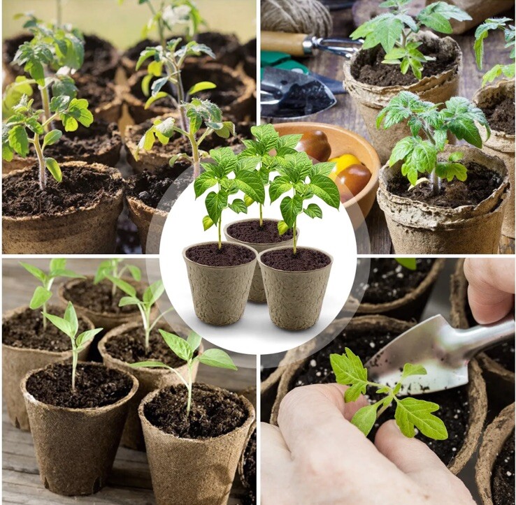 Biodegradable Peat Pots Set of 2 (20) pots