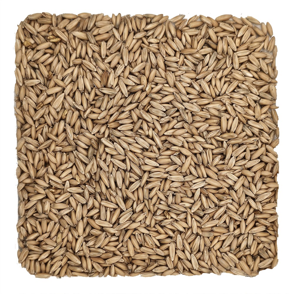 Home Brew Ohio Malted Oats Grain 5lb