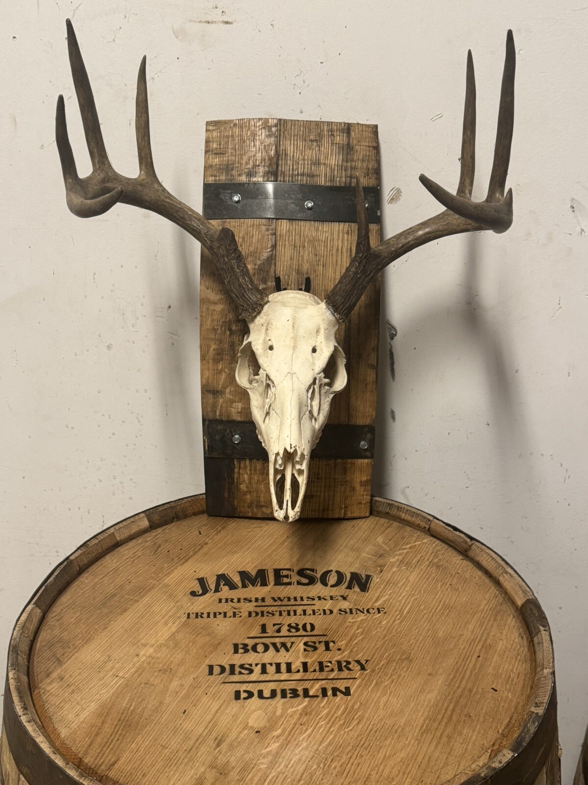 Rustic Barrel European Deer Skull Mounting Plaques