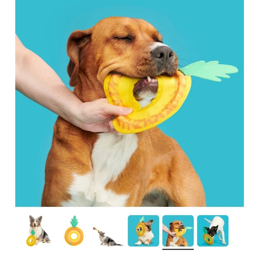 Bark Fetch Pineapple
