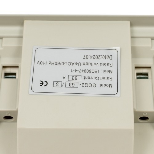 Automatic Switch Double Power Screw Mounting Switch Transfer Switch 110V AC 63A