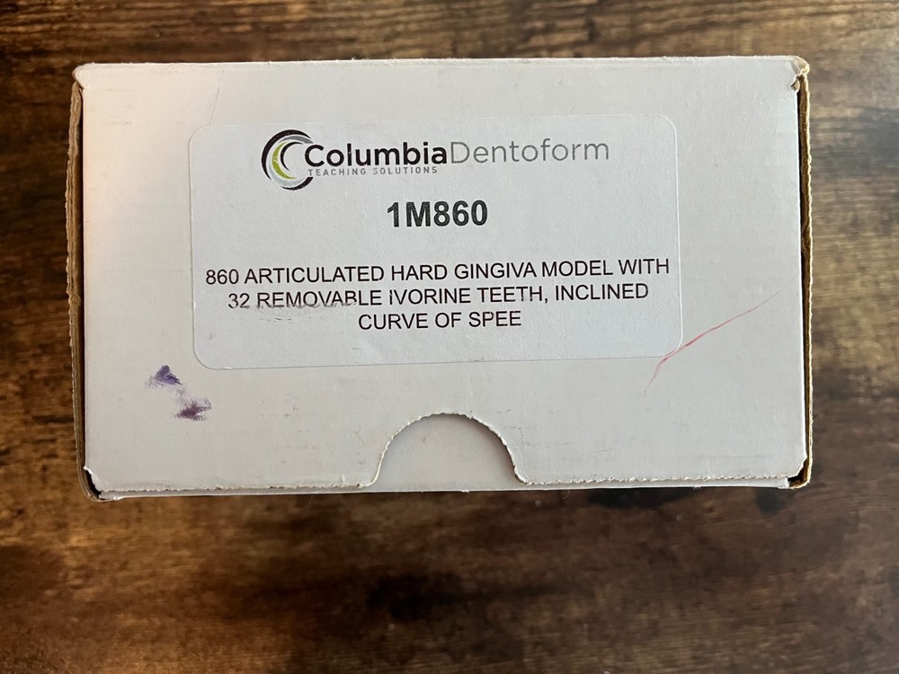 Columbia Dentoform Dental Typodont Model Removable Teeth + Extra