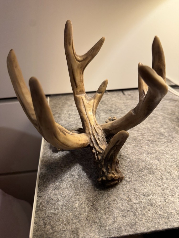 Antlers