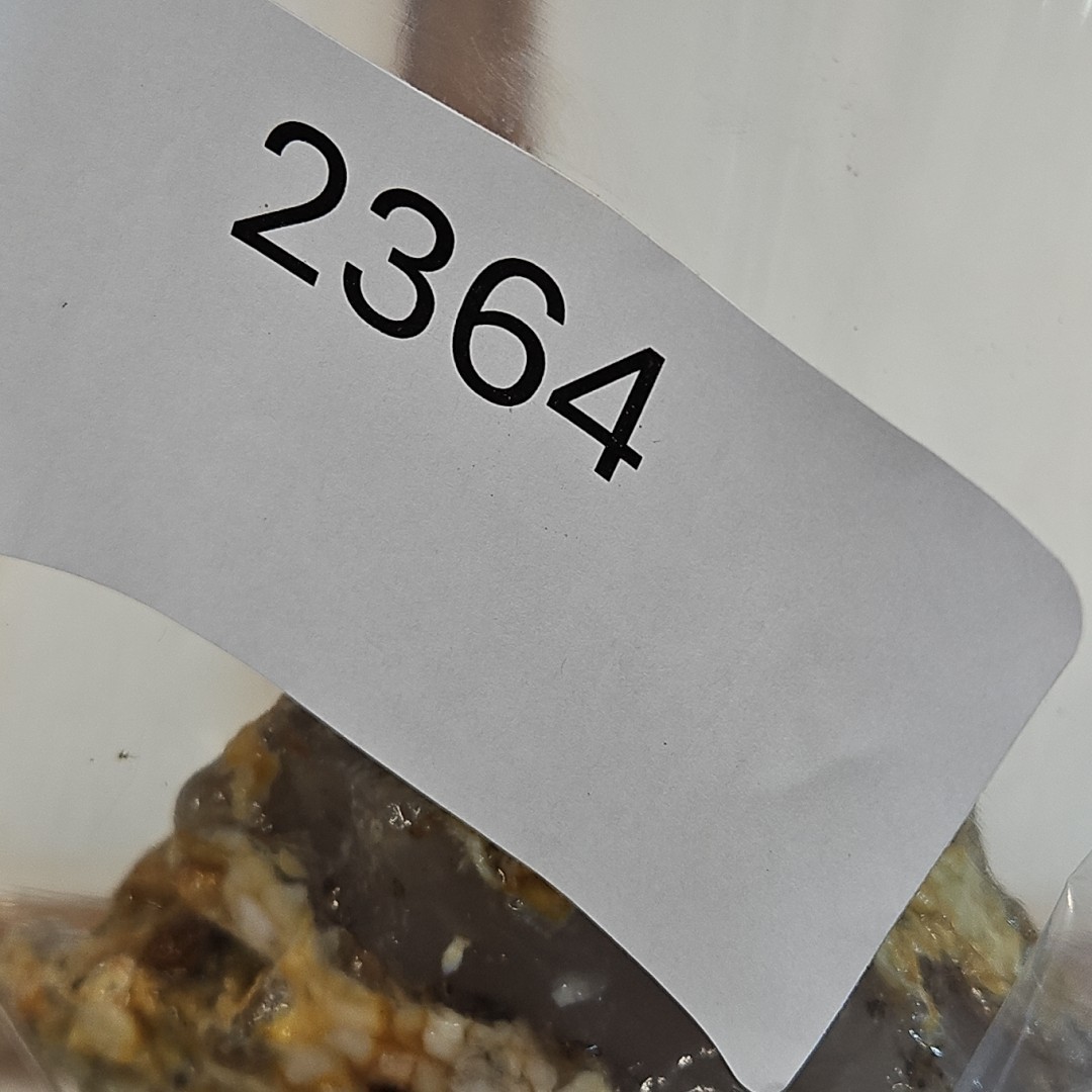 Flower Agate, Madagascar, beautiful color, flower like dendrites 1LB 15.5oz.