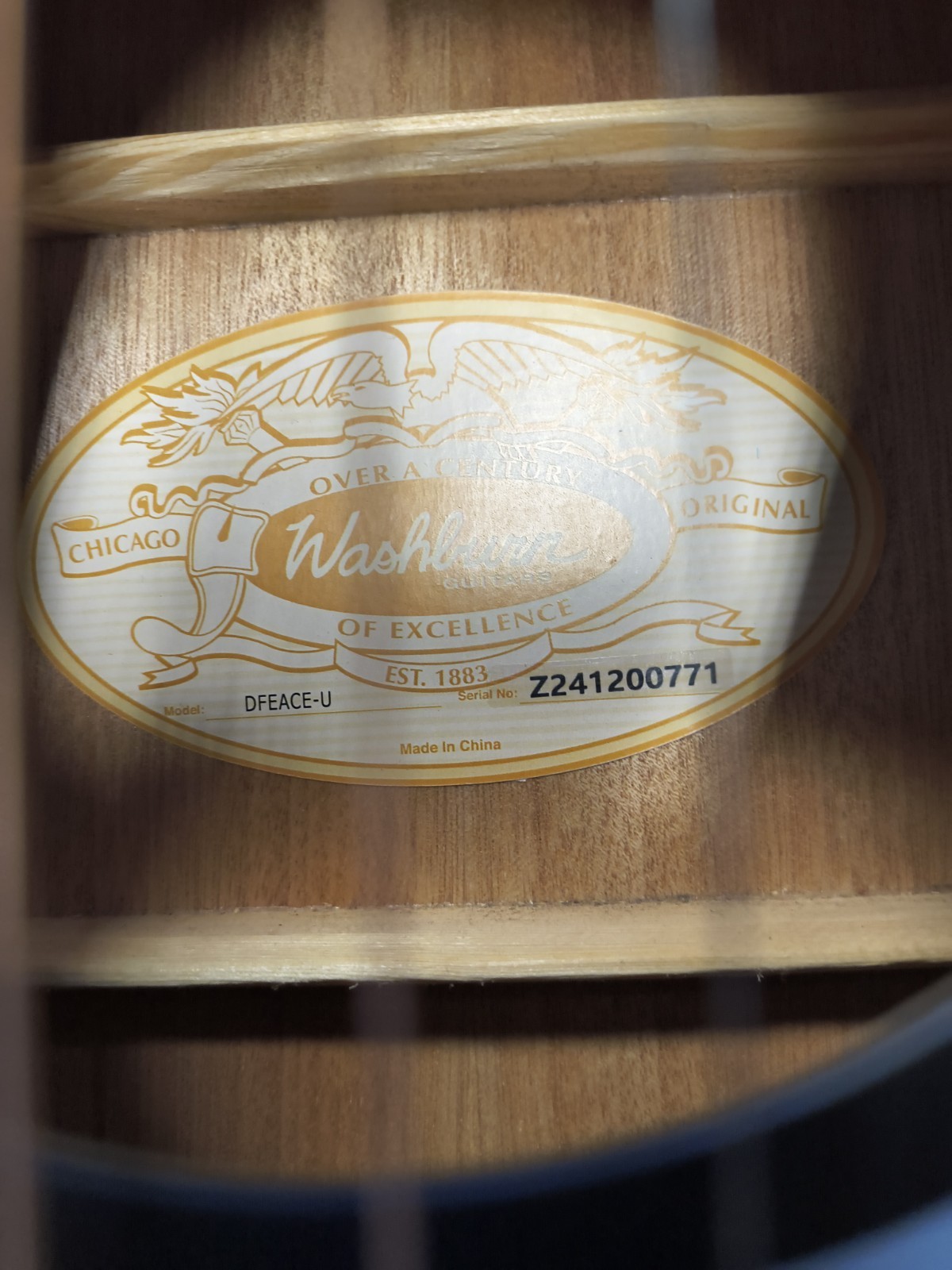 Washburn Deep Forest Ebony ACE Acoustic-Electric Guitar Natural Matte