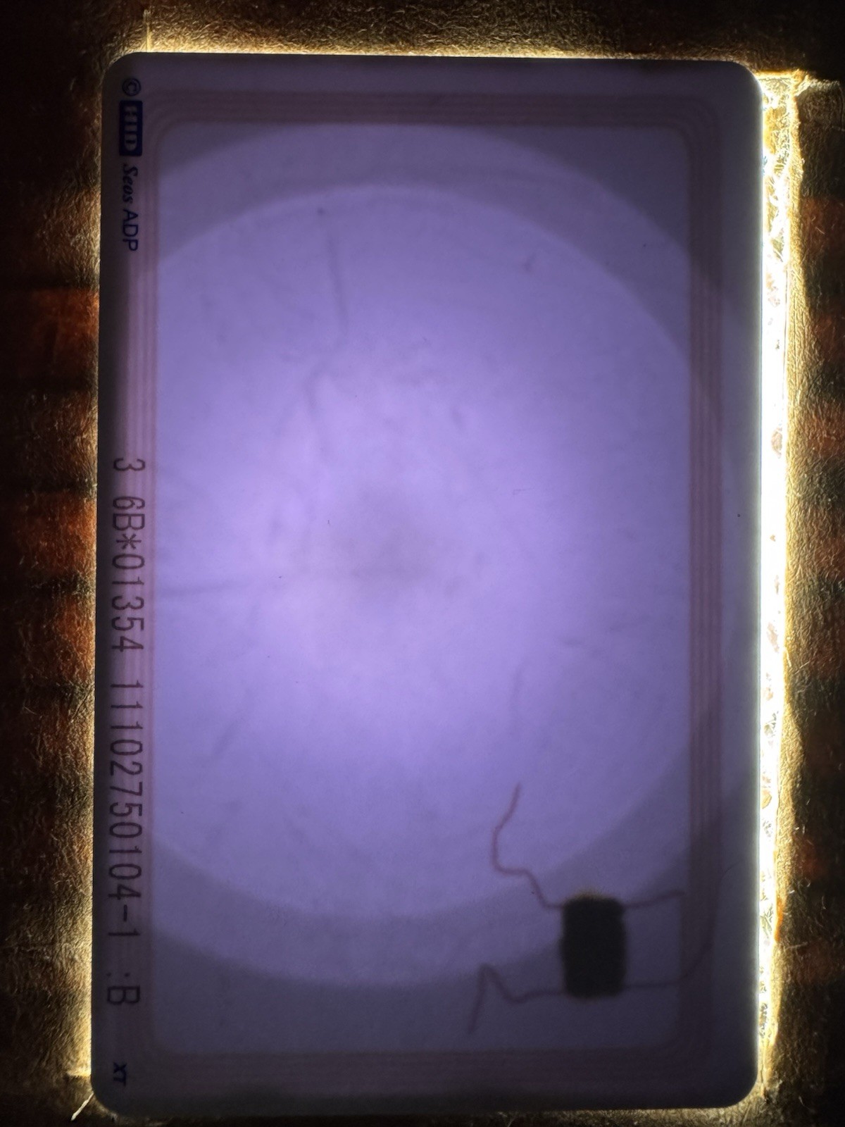 HID iCLASS SEOS 5006PGGMN