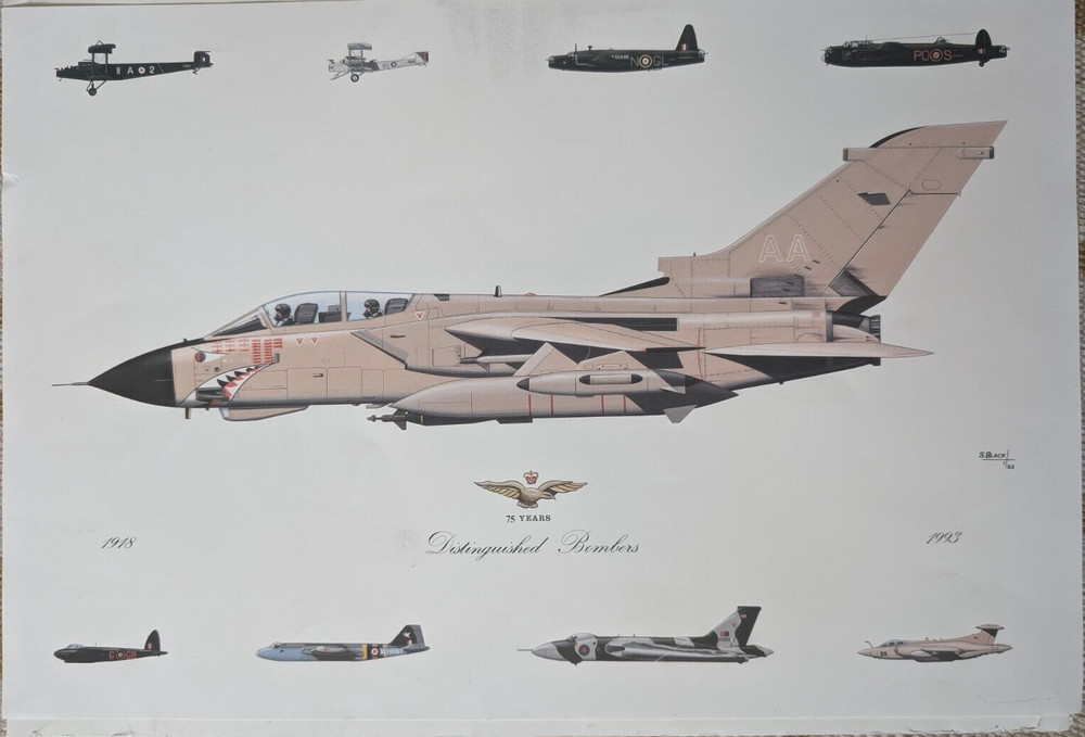 Distinguished Bombers Print