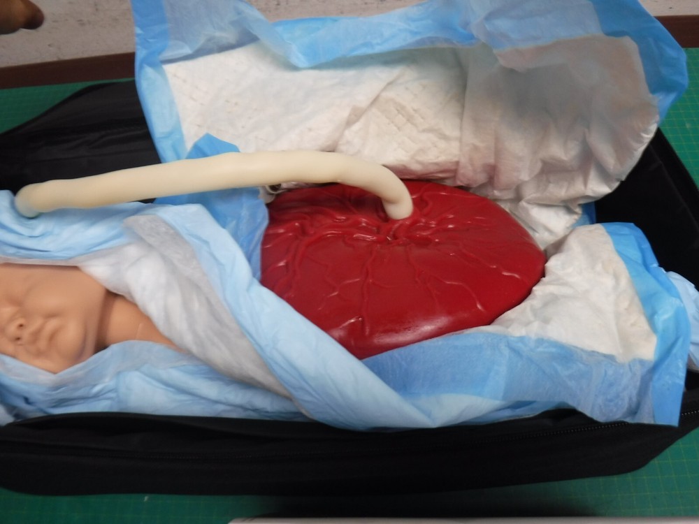 Laerdal PROMPT Flex Birthing Simulator (2)