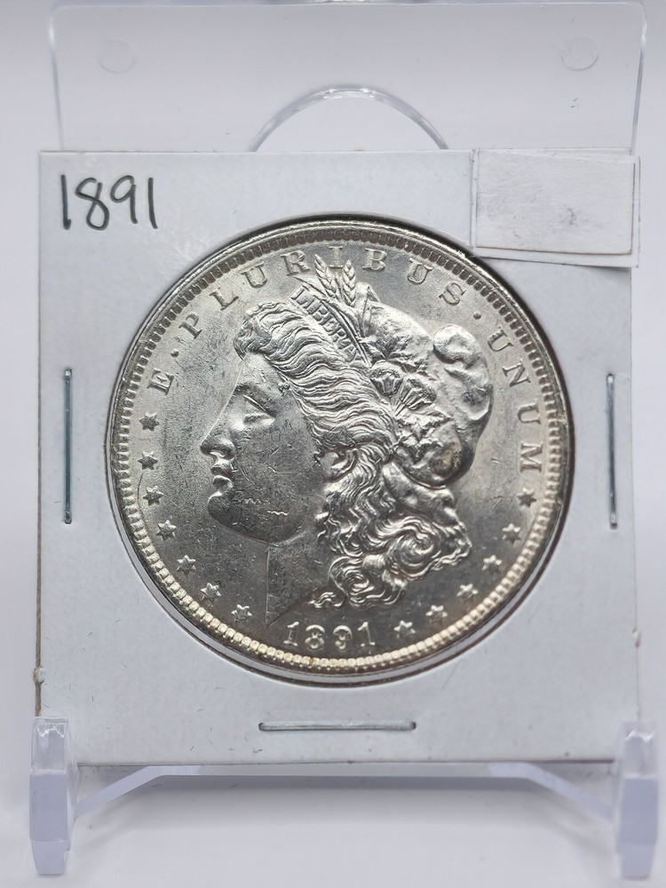 1891 Morgan Silver Dollar (122DM)