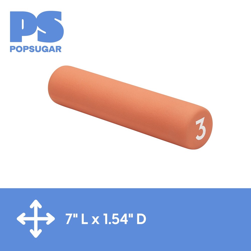 (2 pack) Popsugar Curl Bar Weight, 3 lb