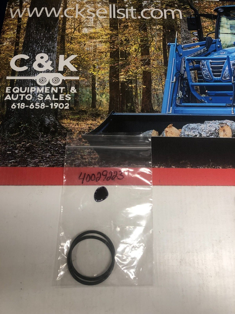 LS O-Ring  40029223