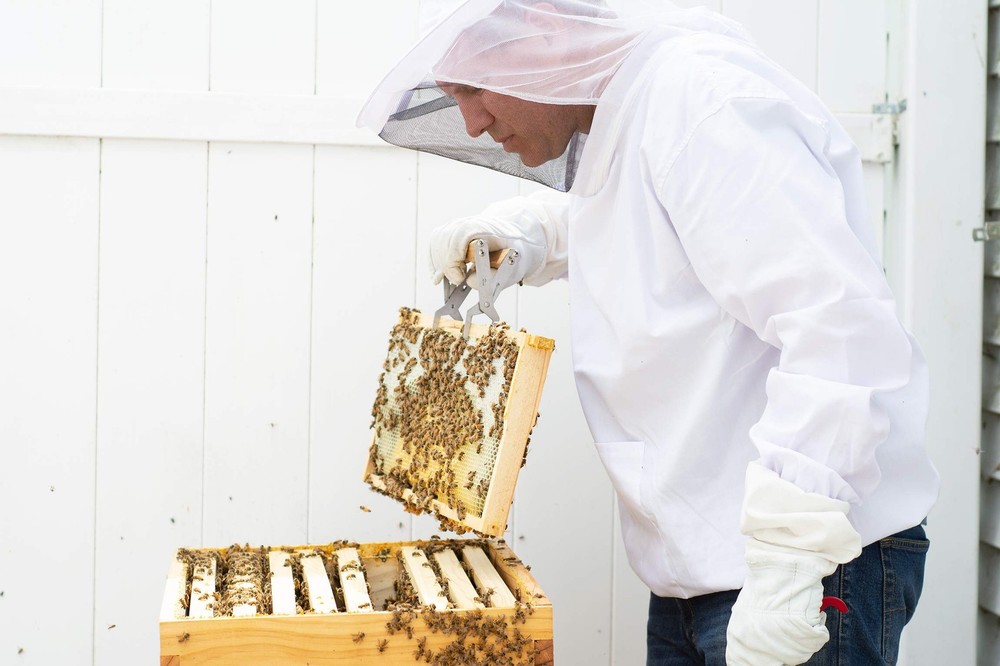 Professional White Medium Beekeeping Suit, Jacket, Pull Over, Smock with Veil...
