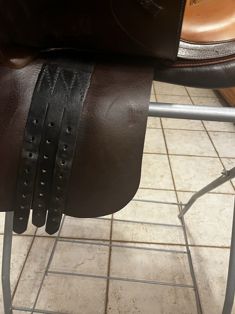 BEVAL SADDLE - 17” - MEDIUM TREE - TREE AND LEATHER IN PERFECT CONDITION!