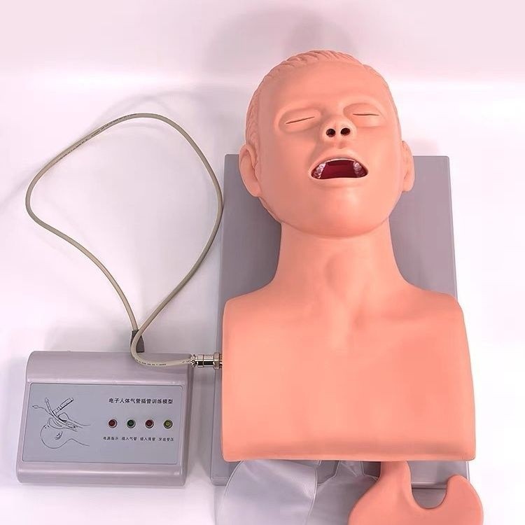 Intubation Manikin Study Teaching Model Electronic Airway Management Trainer New