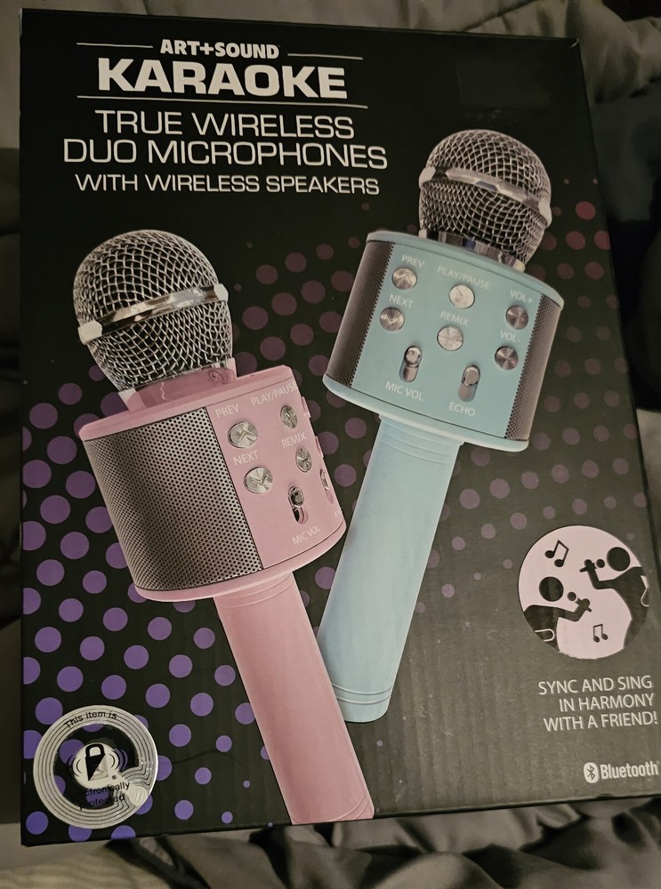 Karaoke Duo Mic