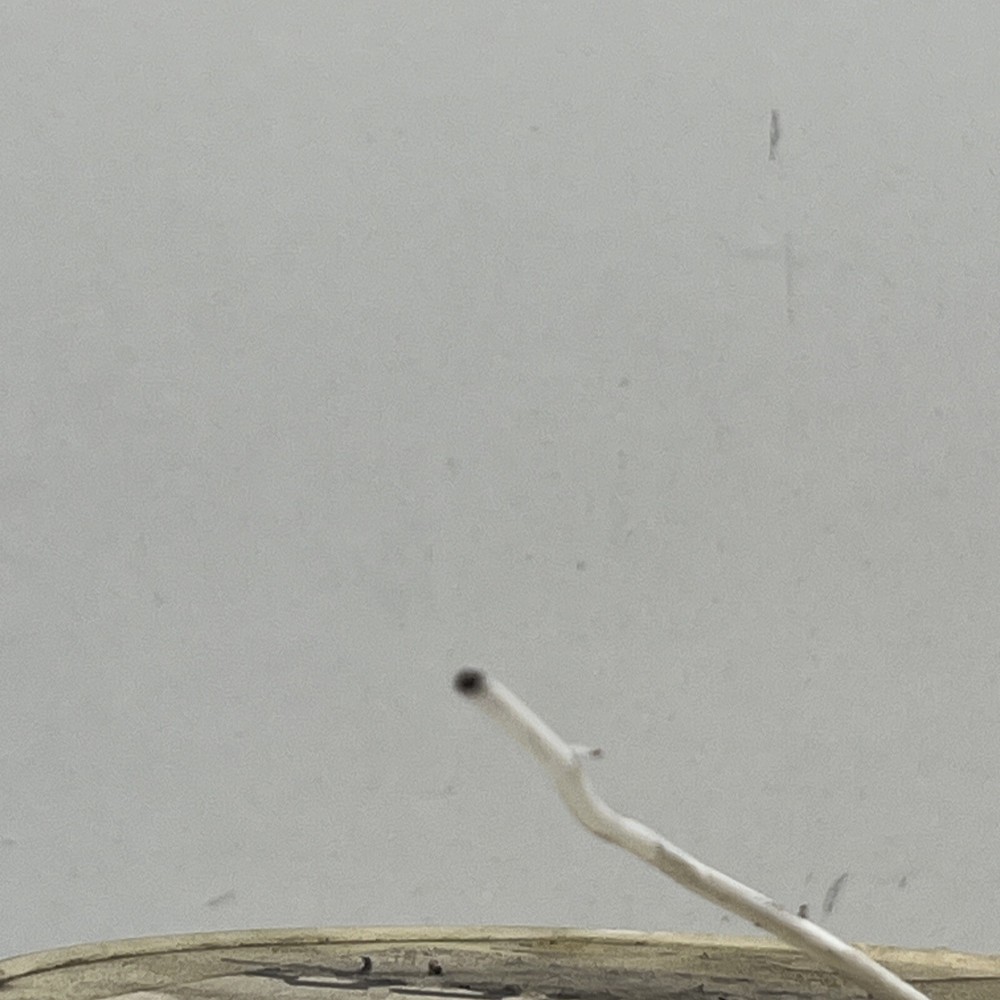 (100ft) 16AWG Stranded White Hook-Up Copper Wire 200°C 200C