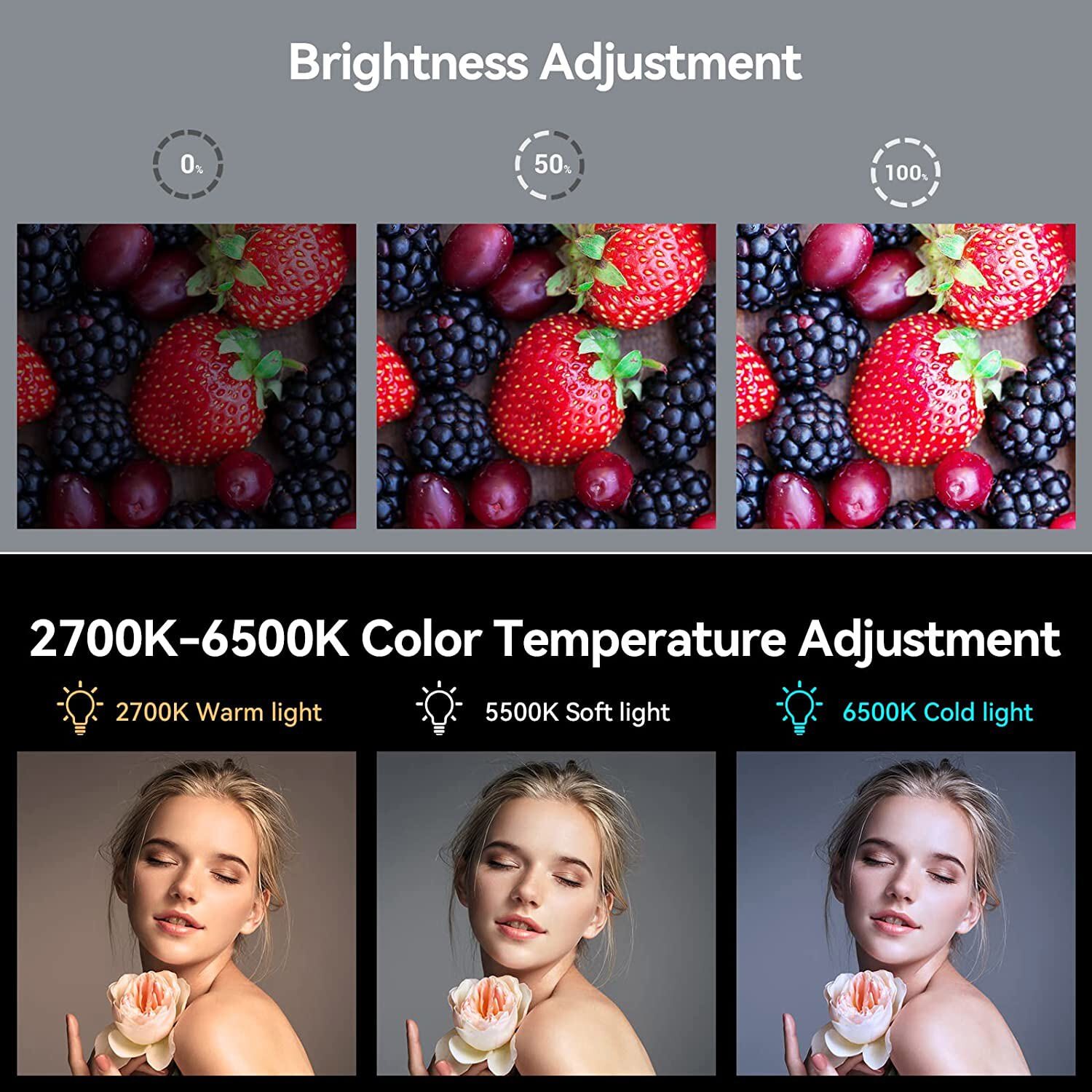 SmallRig P96 LED Video Light 2200mAh 2700-6500K Mini Vlog Camera / Phone Light