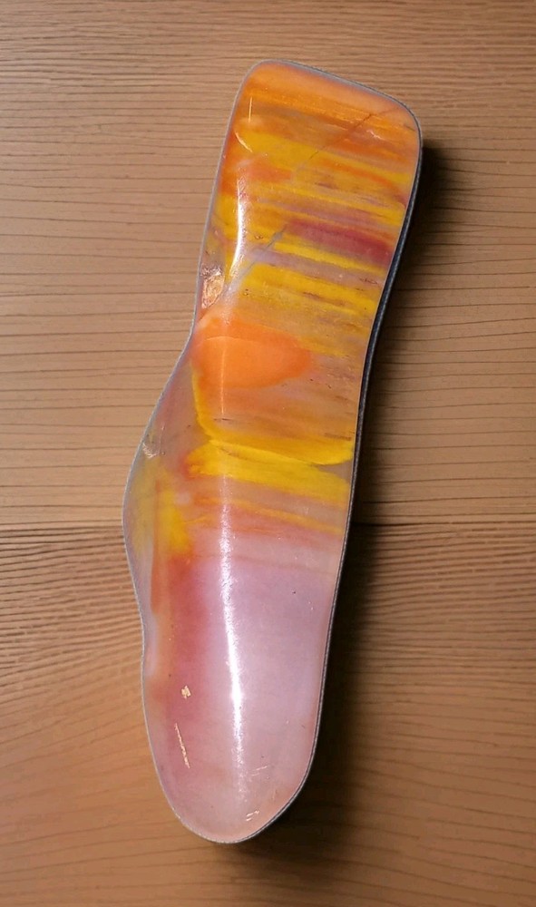 Rainbow Petrified Wood Polished