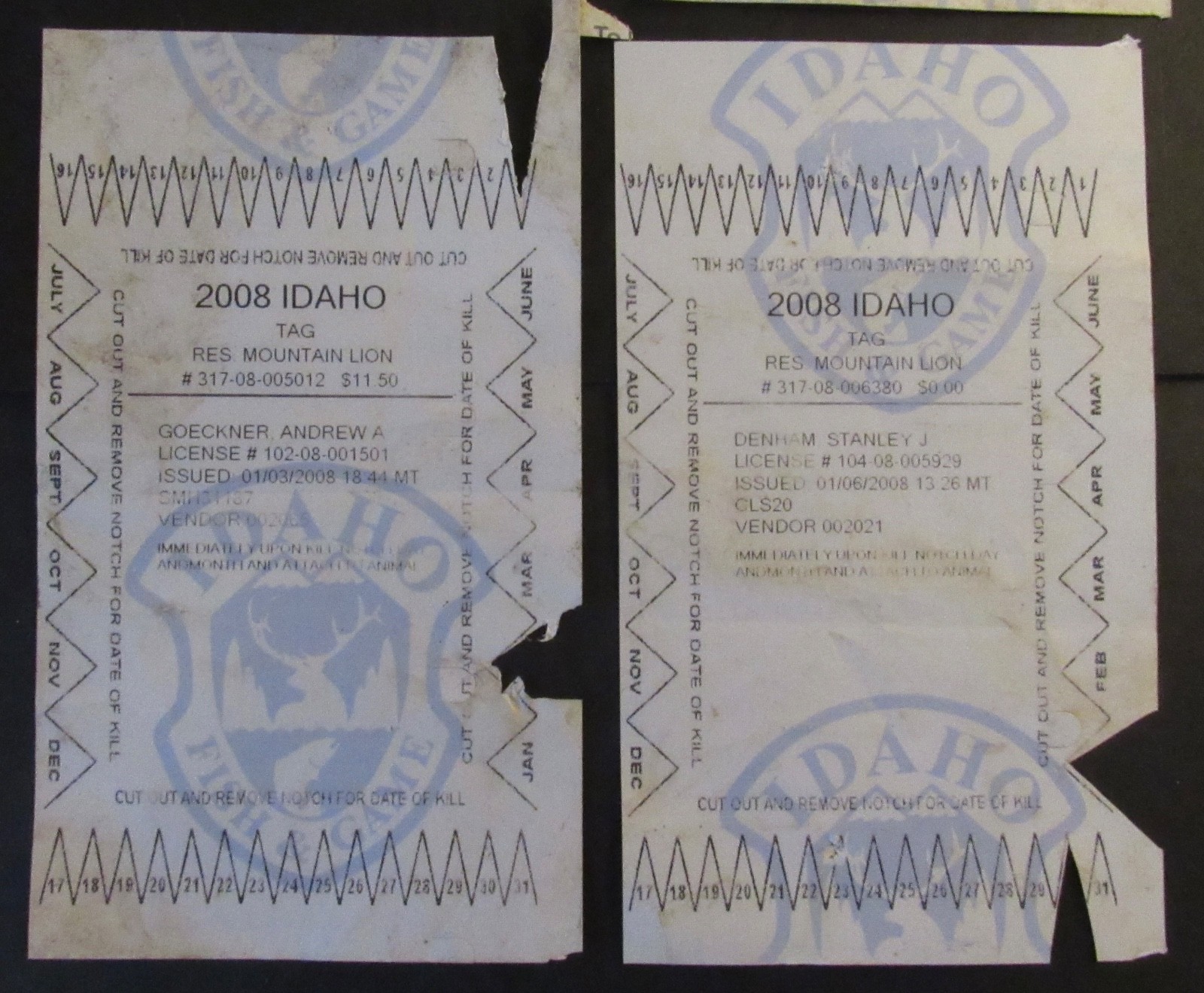 2007 & 2008 Idaho Mountain Lion Hunting Licenses