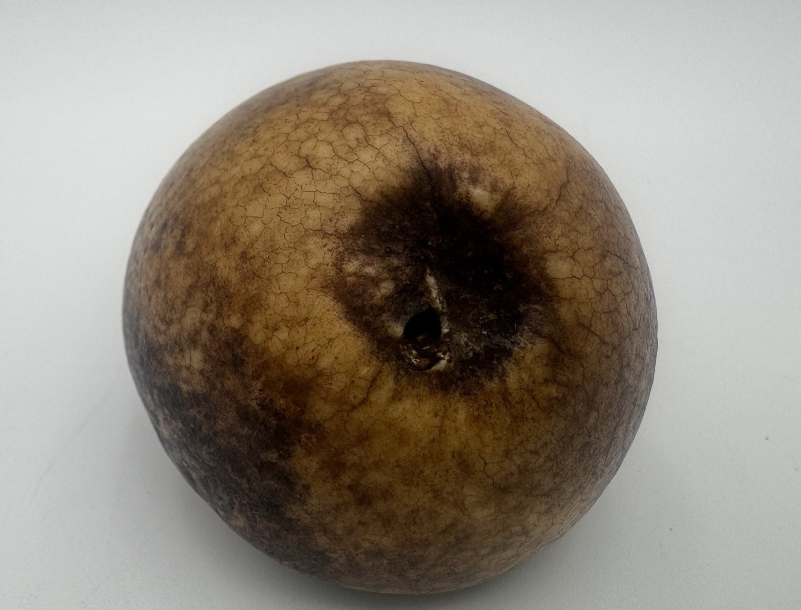 Oddity Hand Carved Tibetan Style Skull Bead Pendant Amulet Charm 2.5”