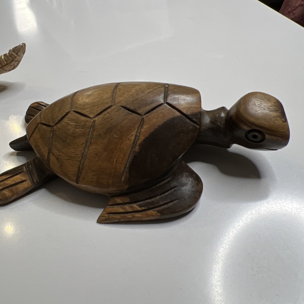 Turtles 5 Pieces Sea Turtles