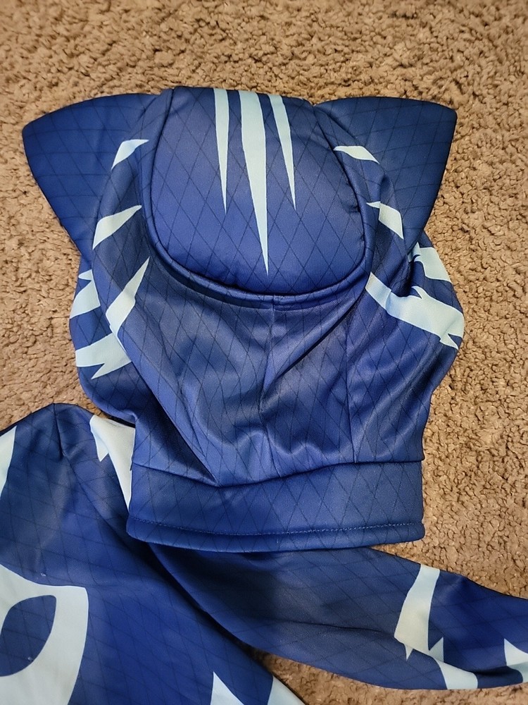 PJ Mask Halloween Costume