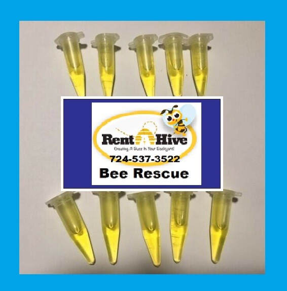 SWARM PRO Lure 10 pack honeybee scent beehive hive bait box trap beekeeper USA.