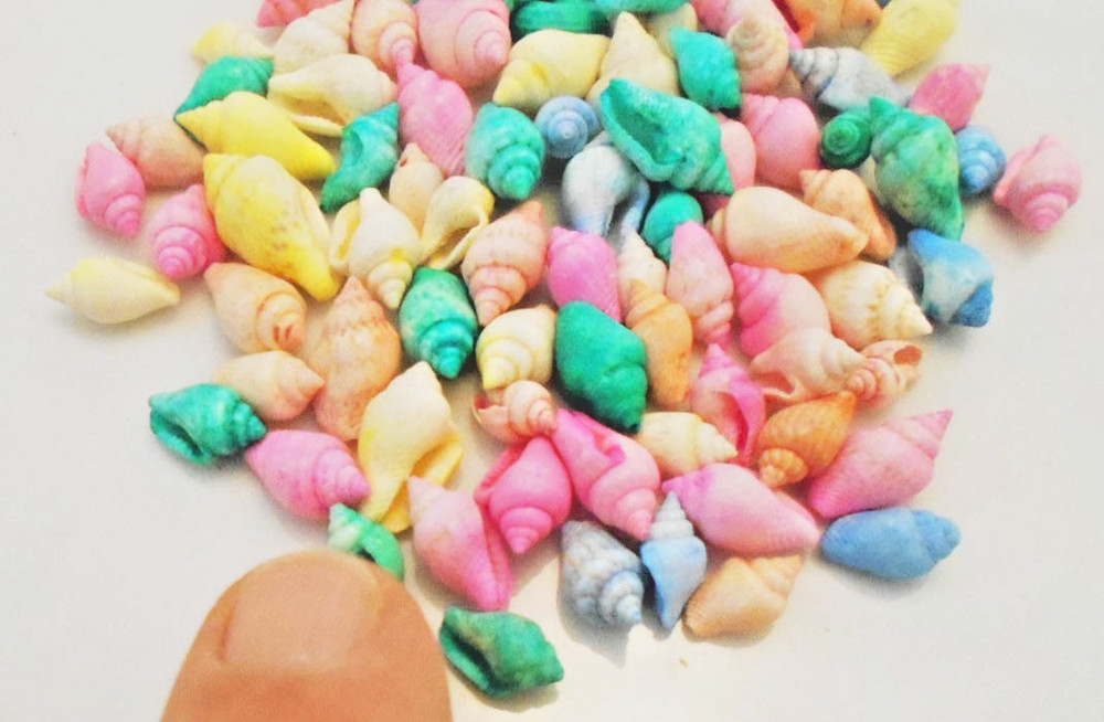 4 oz (about 250 shells) Dyed Nassa Mini Shells (1/2") Beach Crafts Seashells