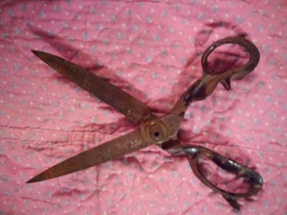 Clauss Scissors. Model: #4N.