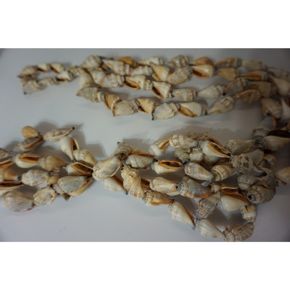 Hanging Seashells Pot Holder Shells on a string