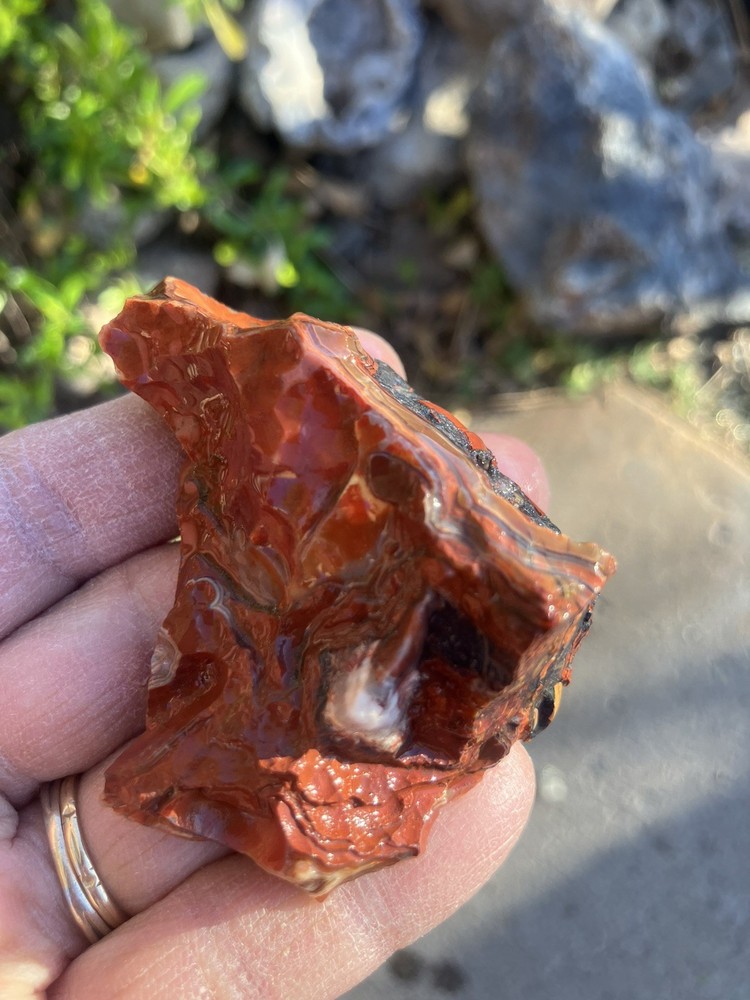 Crazy Lace Agate (End Cut)