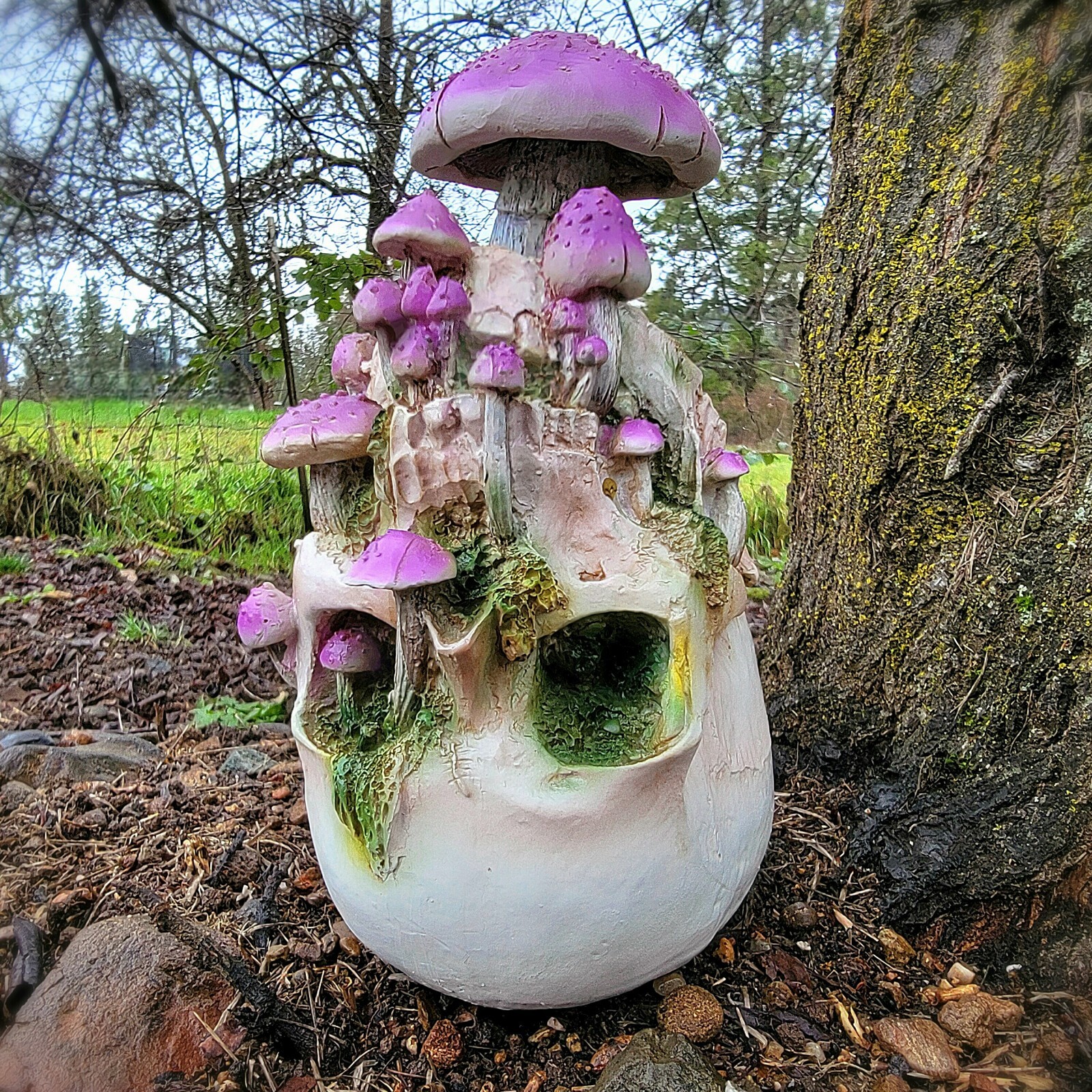 Mushroom skull, violet webcap, goblincore, oddities decor