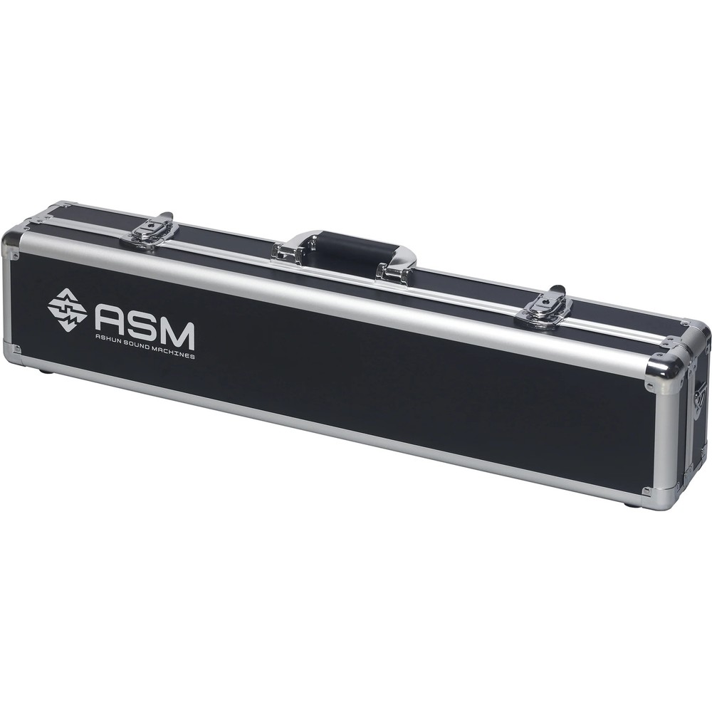 ASM Diosynth Wind Synthesizer with Hardcase and Stand