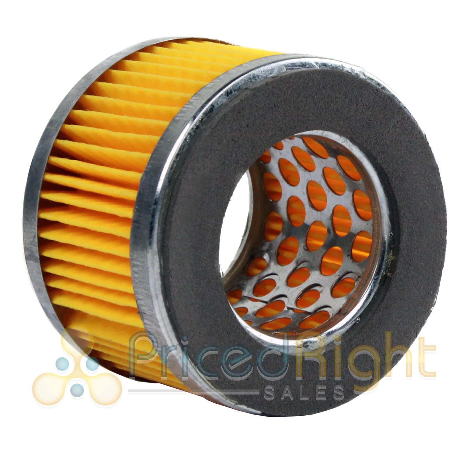 3/4" Replacement Puma Air Compressor Intake Filter and Housing