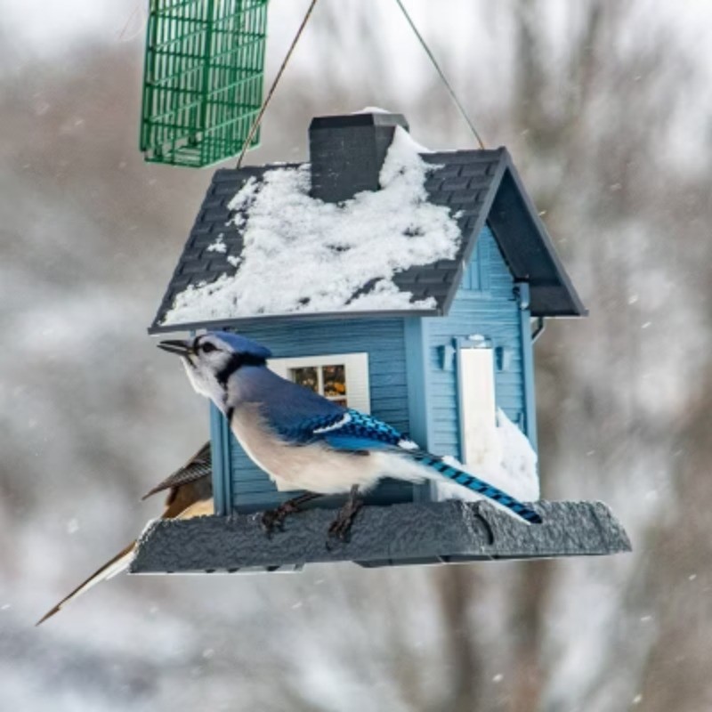 Blue Cottage Hopper Bird Feeder 11.25" Light Blue